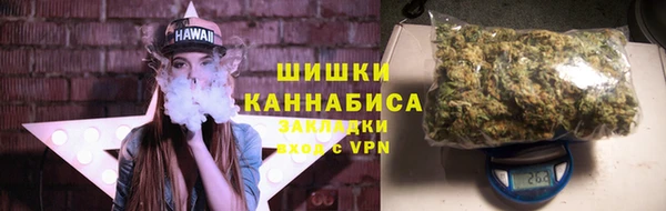 амф Аркадак