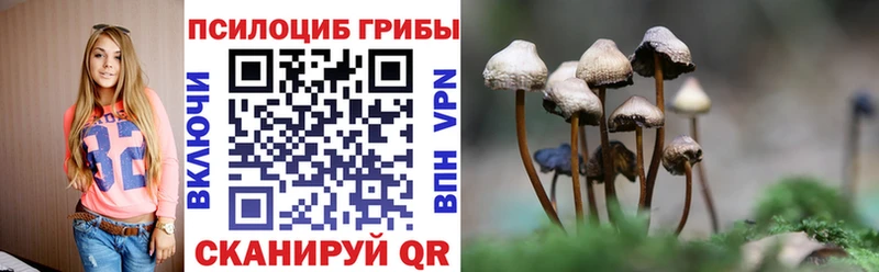 MEGA зеркало Бавлы Псилоцибиновые грибы GOLDEN TEACHER